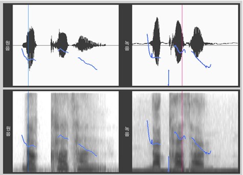 お手本の音声と録音した音声の波形とスペクトルを並べて比較する画面
